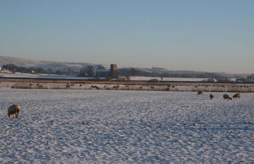 Pattys Barn Holiday Cottages, Cabins and Venue Hire - Foto 68