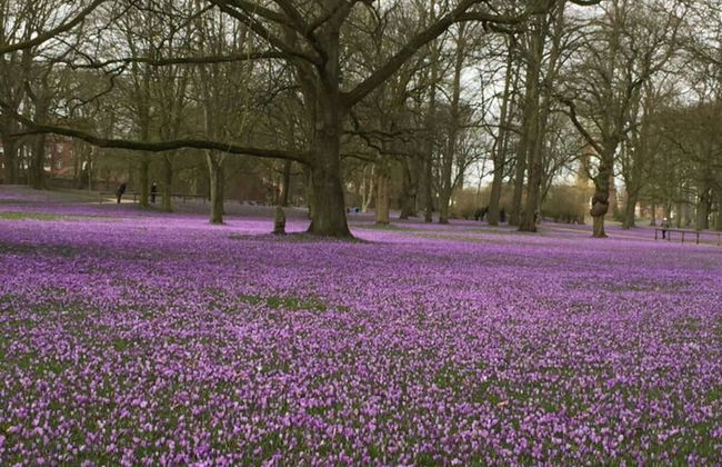 Holiday Apartment Ebbe - Foto 11