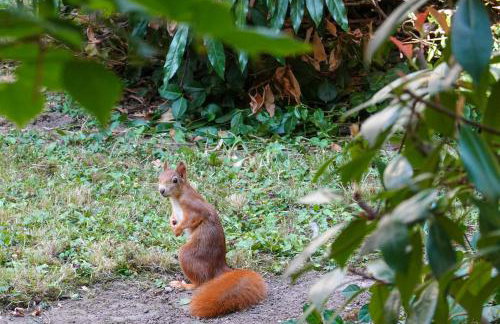 ruhige Ferienwohnung mitten in Wiesbaden - Foto 26