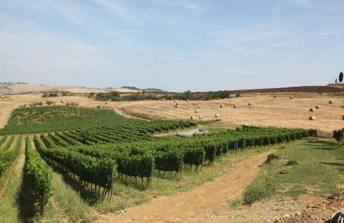 Agriturismo Bagnaia - Foto 20