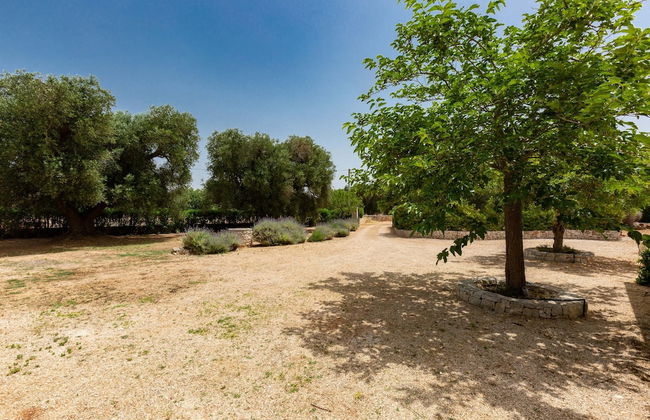 2481 Tenuta Sardella by Perle di Puglia - Foto 34