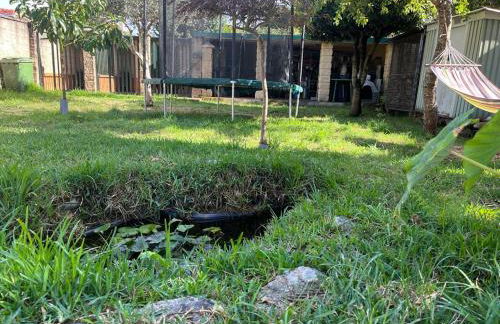 La Casa de las Ranas - Foto 20