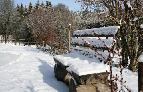 Apartment in Dachsberg-urberg - Foto 30