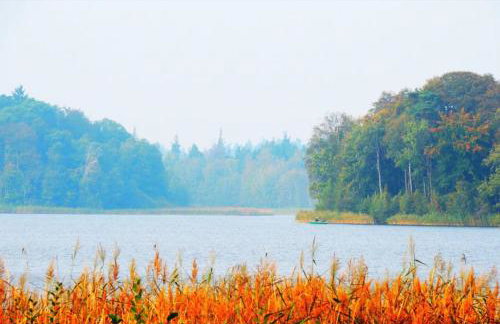 Haus Hanni Zarrentin am Schaalsee - Foto 35