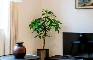 Covent Garden 2 bed 2 bath duplex - Photo 26