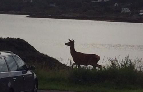 28 Hillside - Foto 16