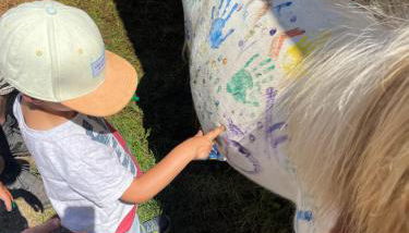 Ranch du Haut-Languedoc - Foto 2