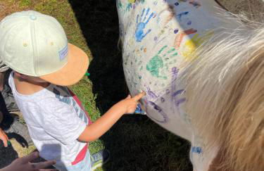 Ranch du Haut-Languedoc - Foto 2