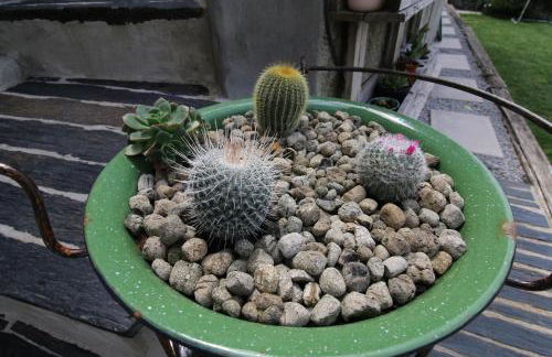 Douro Mesio Guest House - Foto 22