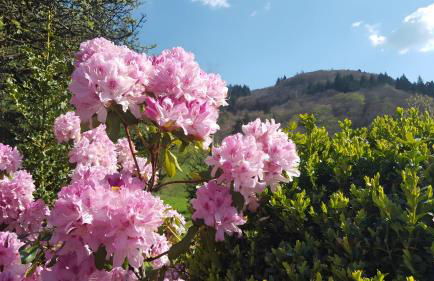 Haus Fernblick - Foto 32