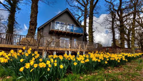 iLodge Ultra - Foto 3, Garden