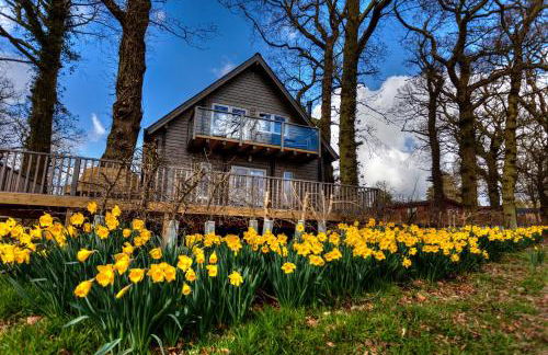 iLodge Ultra - Foto 3