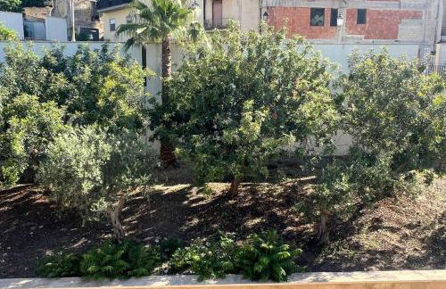 Grande Casa vacanze borgo Salemi - Foto 17