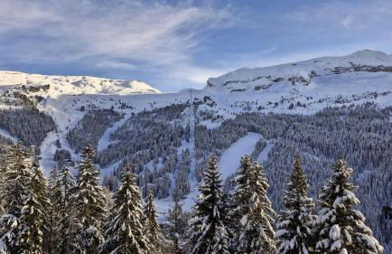 Résidence Les Pleiades - Appartement spacieux et lumineux · Centre station · Balcon · Parking couvert MAE-7354 - Foto 13