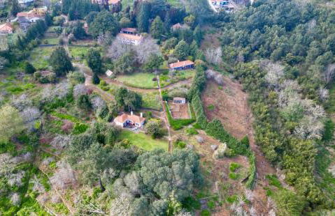 Quinta Das Faias - Foto 3