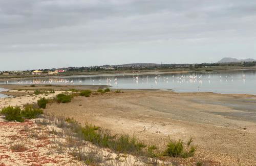 Laguna del Flamenco - Foto 24