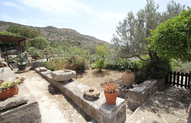 Olive House by Frangki - Foto 7