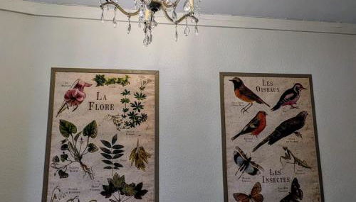 Gîte des remparts - Foto 5