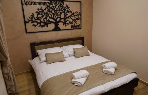 Apartamenty pod Dębami - noclegi Beskid Niski - Foto 35