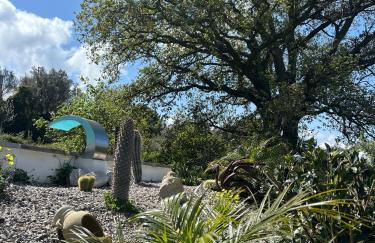 Villa Grazia - Foto 39