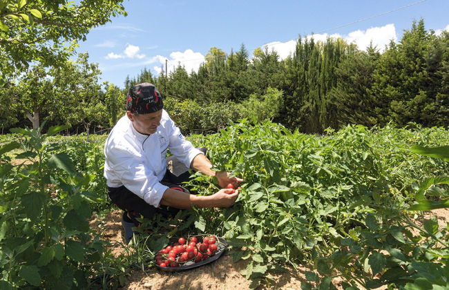 BioMasseria Santa Lucia - Photo 39