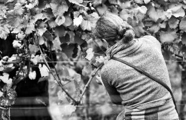 Apartment in Landau Stadtoase - Foto 17