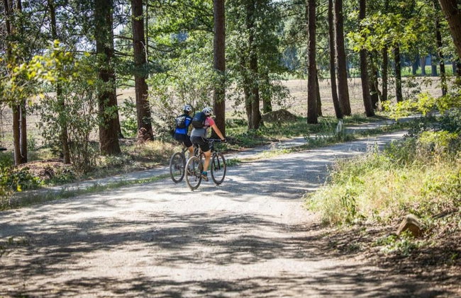 Holiday Home in Holten Near Lake Ijssel - Foto 25