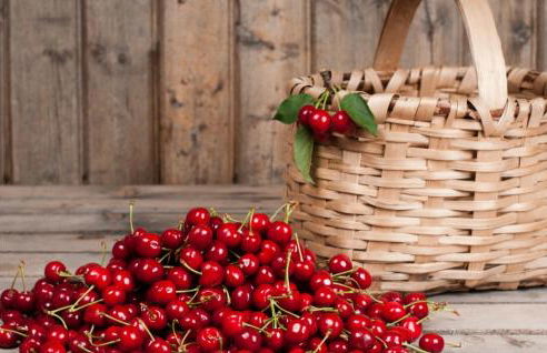 Casa Duas Fontes - Photo 50