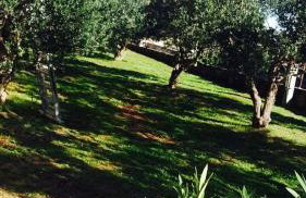 Villa Danny **** - Photo 13