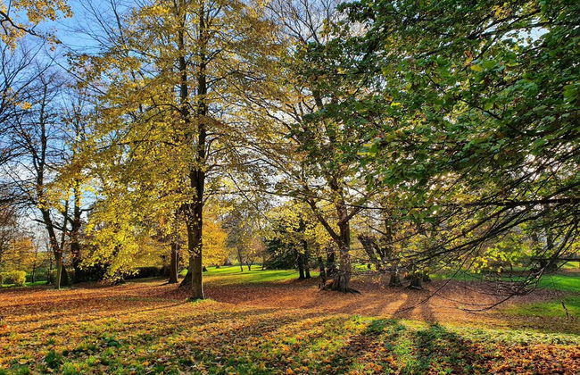 Historic Apartment in Gerdshagen With Garden - Foto 135