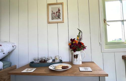 Cosy Devon Hut Woodland Views - Photo 85