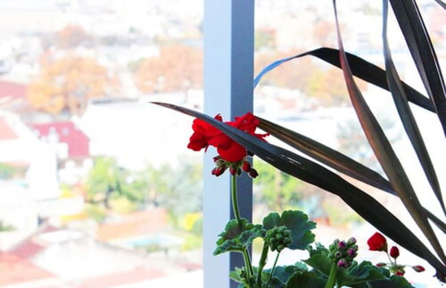 Hotel Boutique Devoto - Foto 13