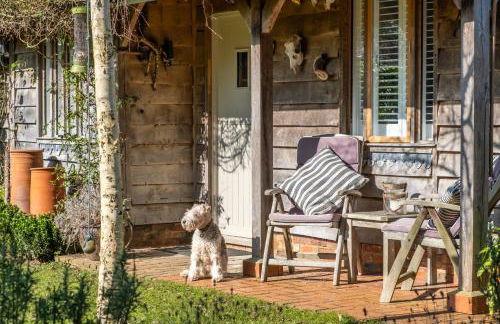 The Garden Studio - Foto 13