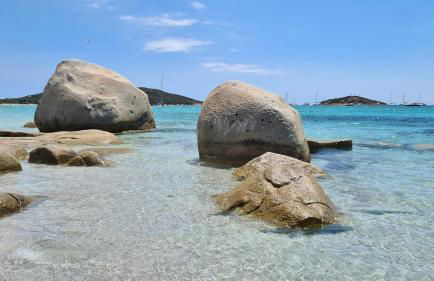 Les Studios de Fiori - Studios et Appartement T2 - Cala Rossa - proche Porto Vecchio - Foto 45