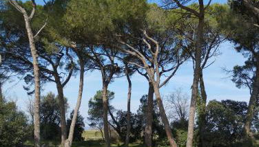 Gîte la rosée du matin - Foto 3