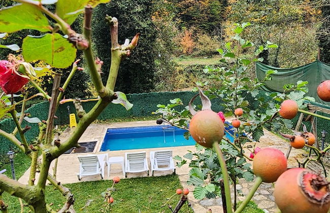 Sapanca Bungalow Otelleri - Foto 69