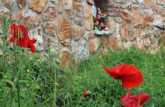 Mary's Garden - Foto 23