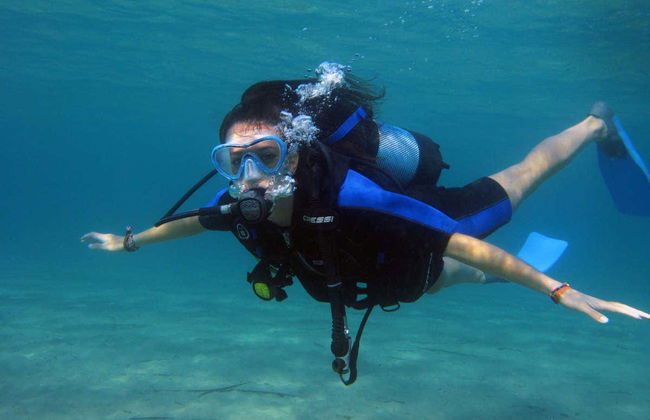 Bautismo de buceo en Nea Makri - Foto 4