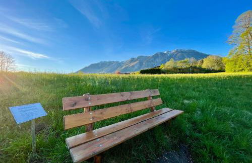 Römer Appartement mit sonniger Terrasse - Photo 8