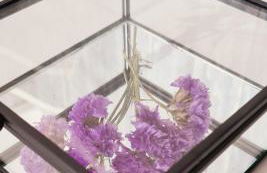 Preciosa casa de pueblo entre Ronda y Setenil La Posada de Catalina - Foto 11