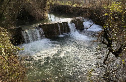 Satia Berri - Foto 35