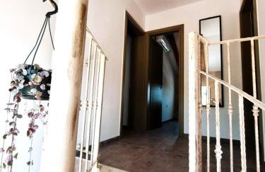 NEW 2023 Villa Tree of Life - Photo 55