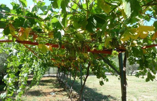 Apartments Smolica - Foto 45