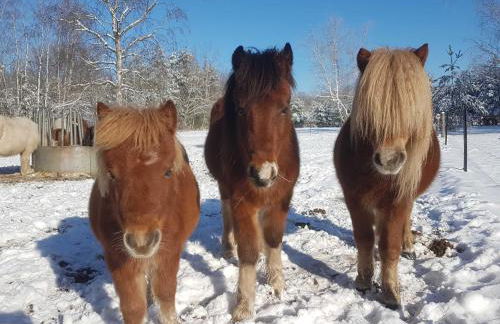 Torhaus Terra Nova - Foto 8