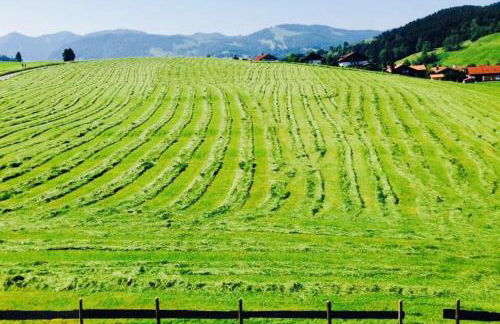 Ferienwohnungen Britta Heim - Photo 11