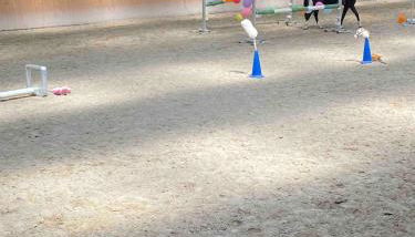 Ferienwohnung beim Pferdehof - Foto 5