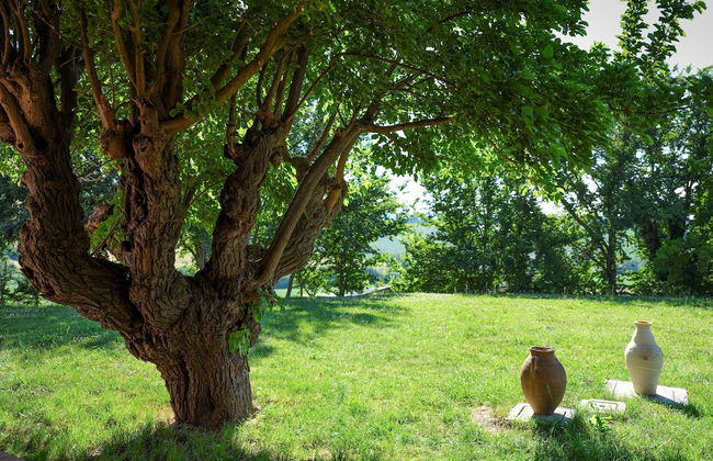 Casale Talevi - Foto 30