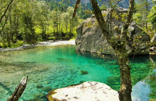Appartamento IL NIDO tra verde e natura - Foto 29