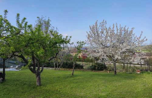 La Tavernetta - Foto 34