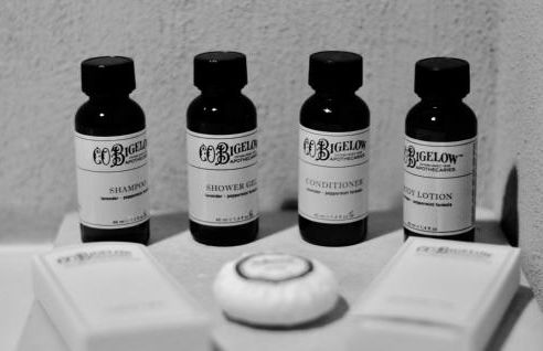 Tuttaterra - Foto 30